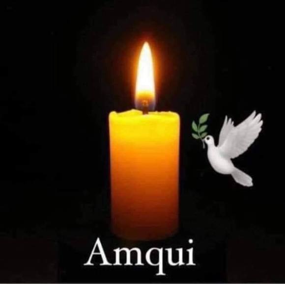 Meet your Posher, Annie - Picture 1 of 1